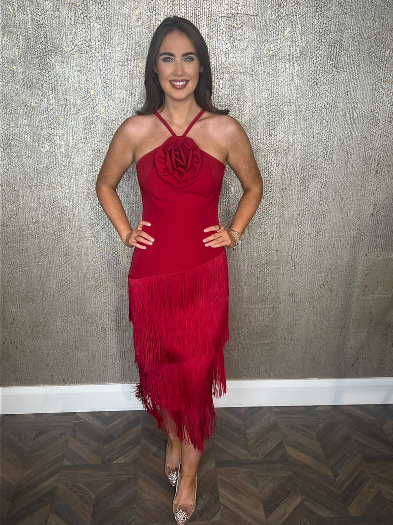 The Jimena Dress